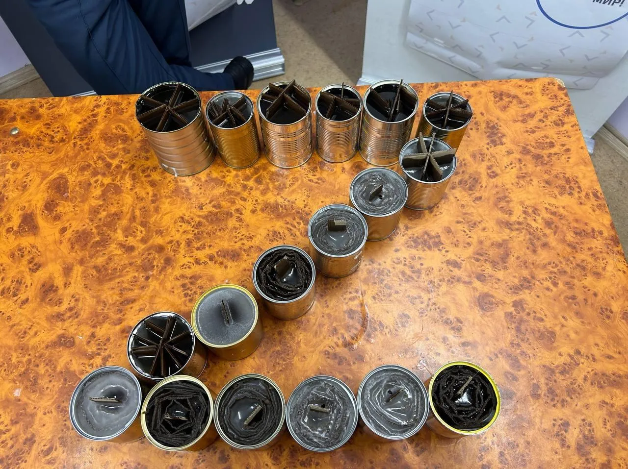 Фото: Министерство образования Московской области