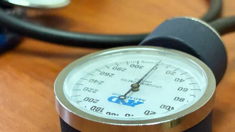 Фото: МедиаБанк Подмосковья/Галина Добрынина