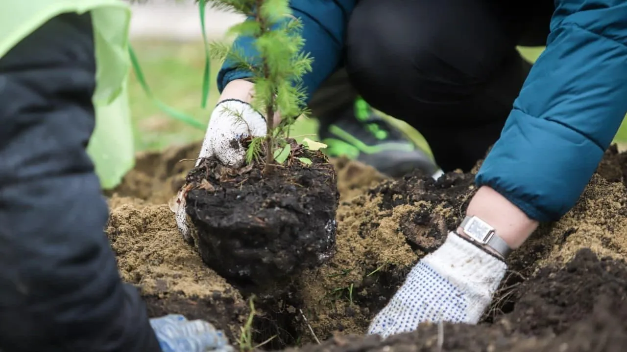 Виталий Ватулин