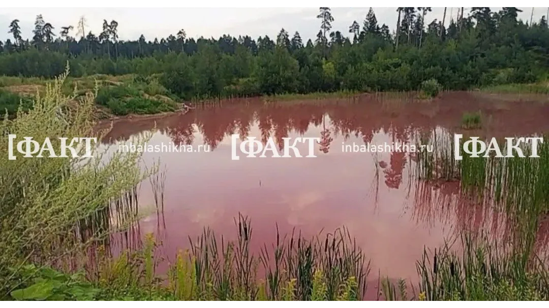 Фото: социальные сети