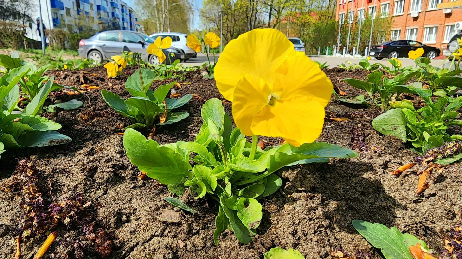 Фото: Мария Панина