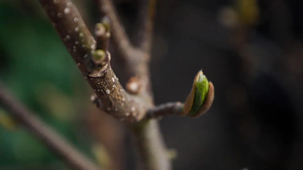 REGIONS/Наталья Надточая