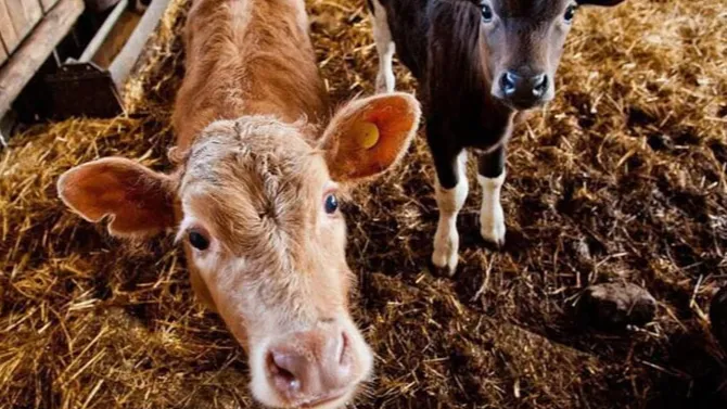 © Министерство имущественных отношений Московской области