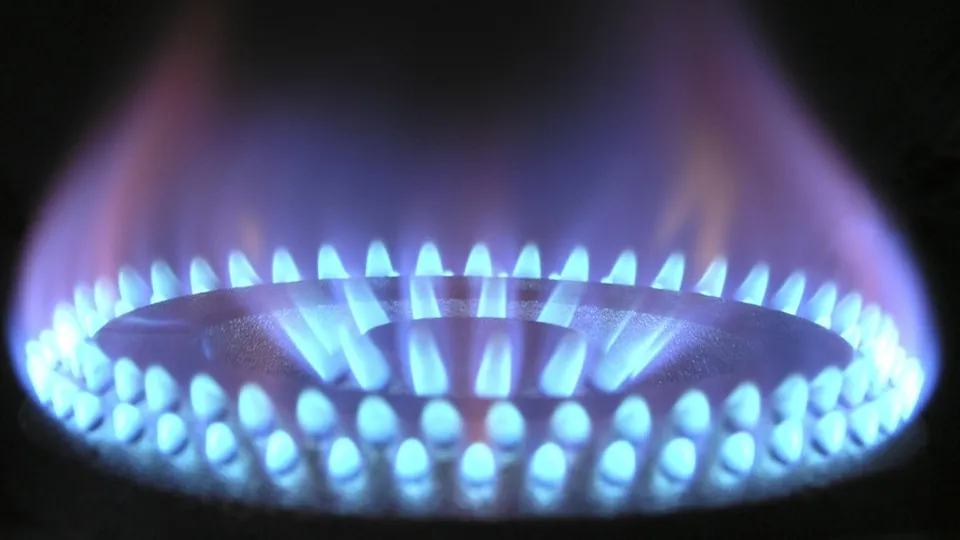 Фото: pxhere.com