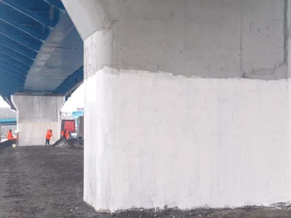 Фото: пресс-служба администрации г. о. Красногорск