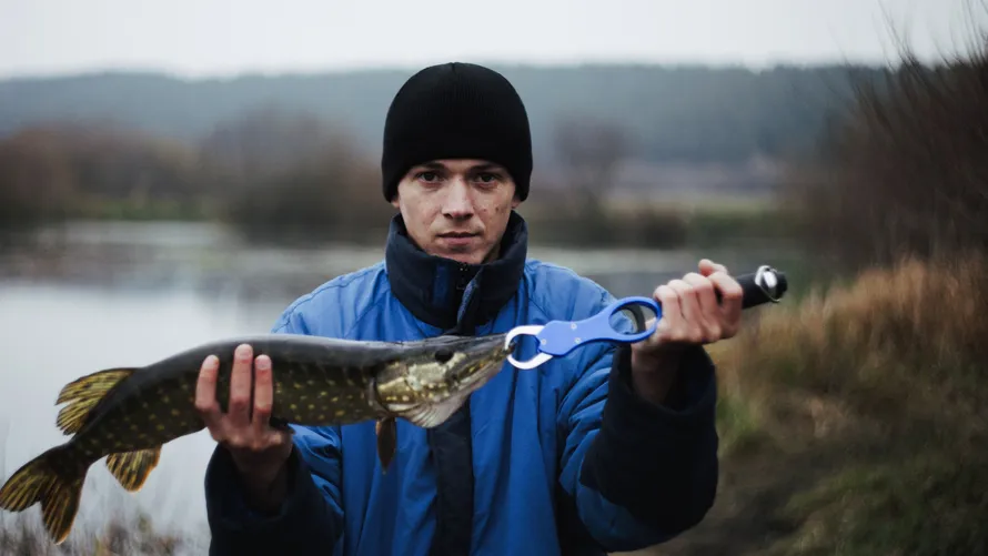 Фото: freepik.com