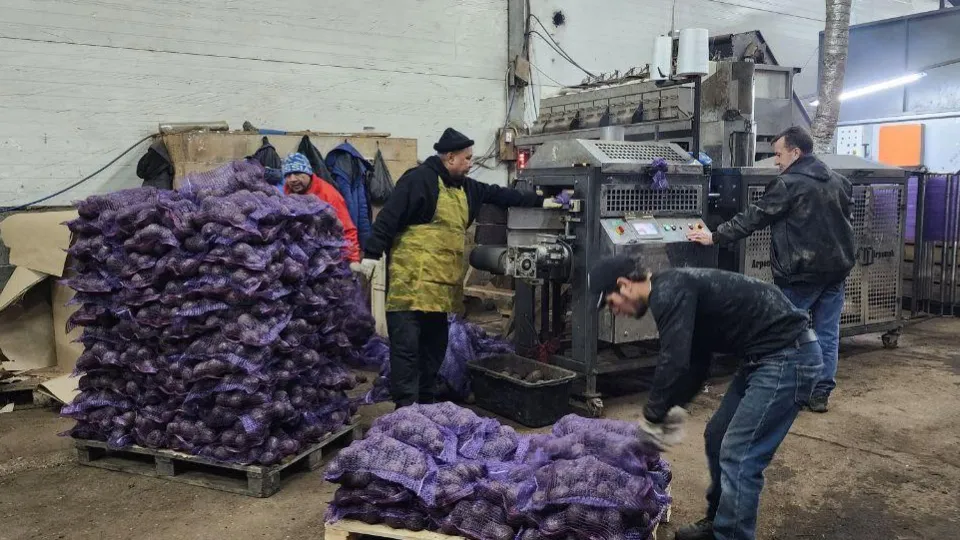 Фото: REGIONS/Евгений Рой