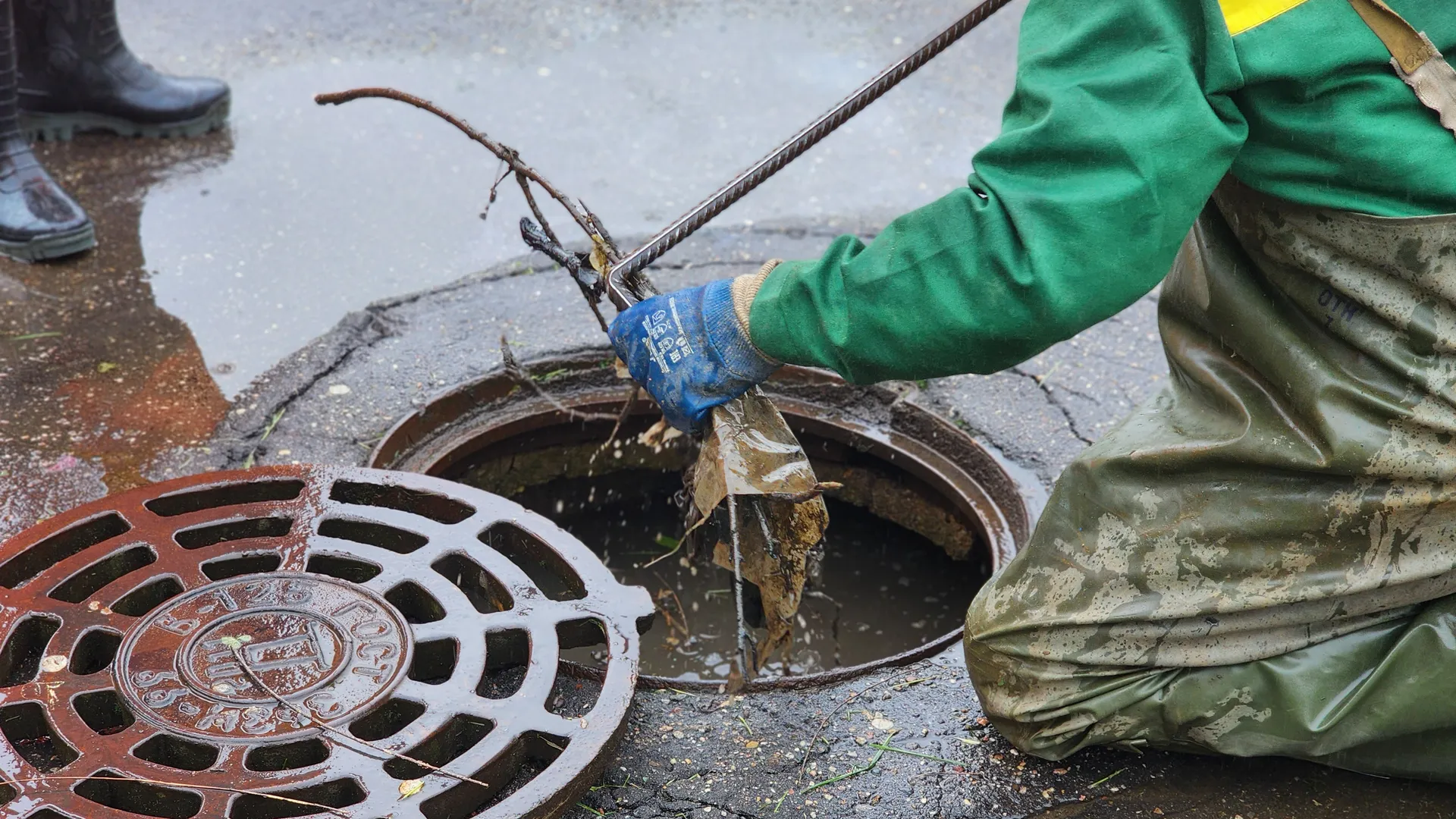 Фото: МедиаБанк Подмосковья/Елена Шумакова