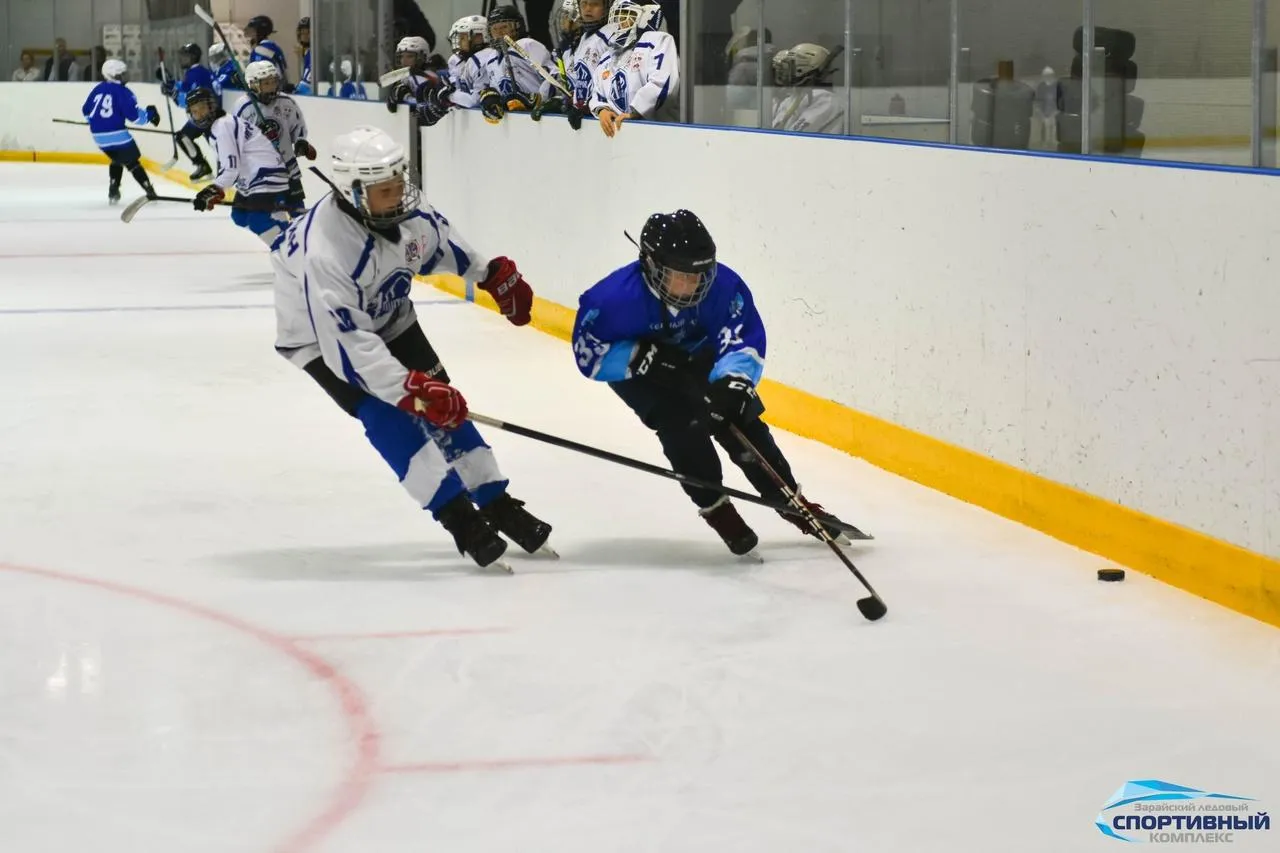 Фото: Зарайский ледовый спортивный комплекс