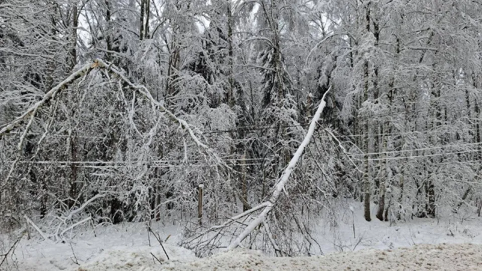 Фото: администрация Можайского г.о.