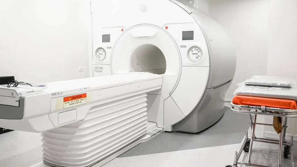 Фото: пресс-служба администрации Ленинского г.о.