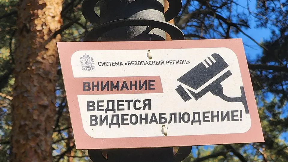 Фото: пресс-служба губернатора и правительства Московской области
