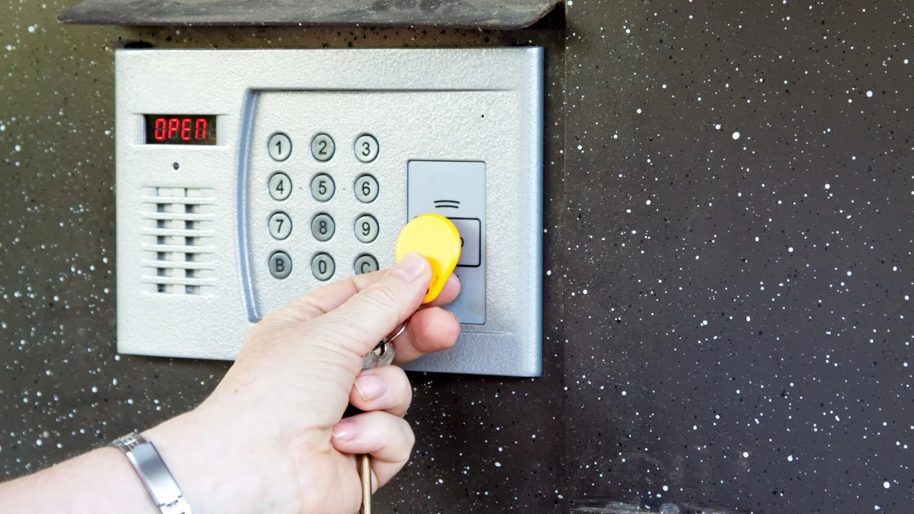 Фото: freepik.com