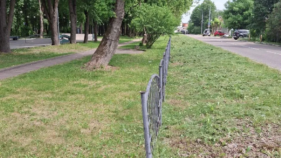 Фото: администрация Одинцовского городского округа