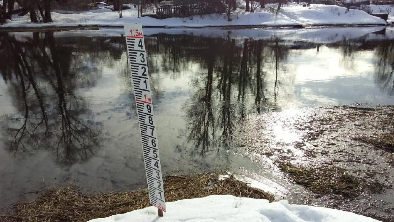 REGIONS/Яна Шаливская