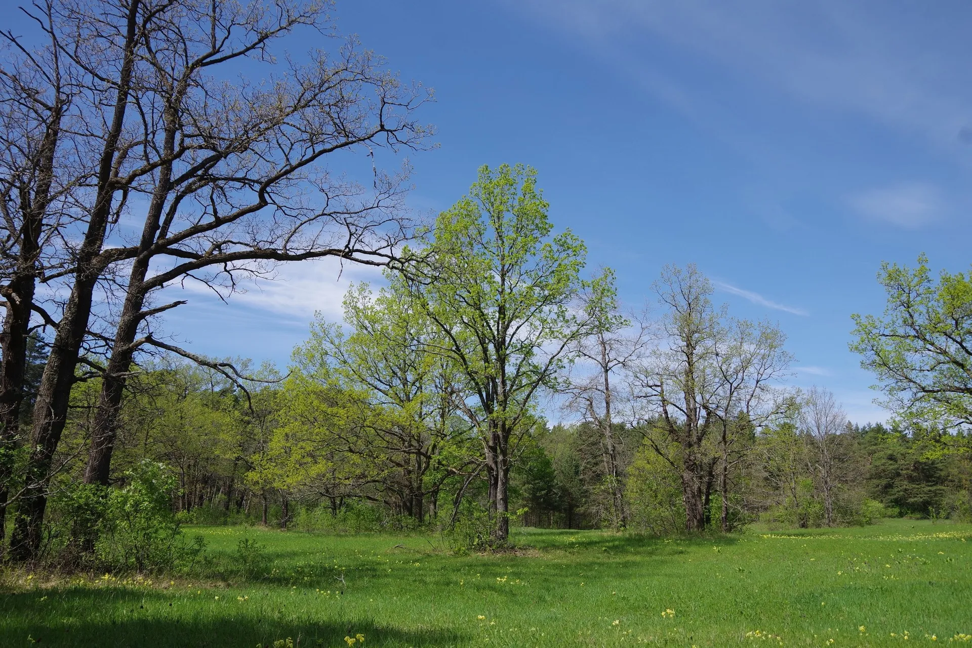 Фото: Ольга Калинина