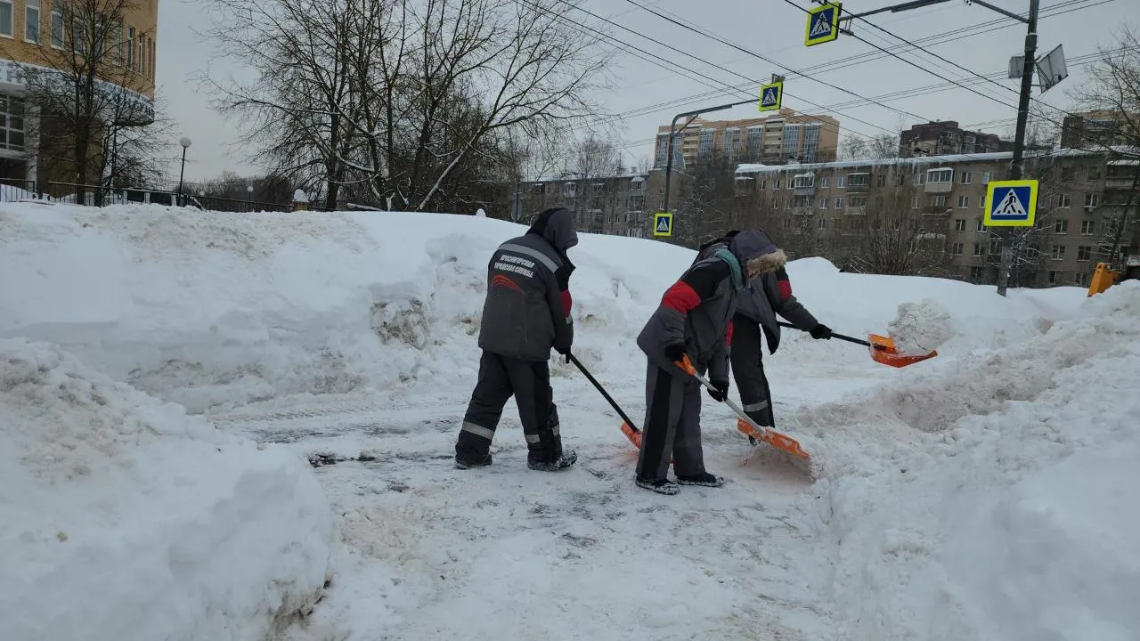 REGIONS/Кристина Ларина