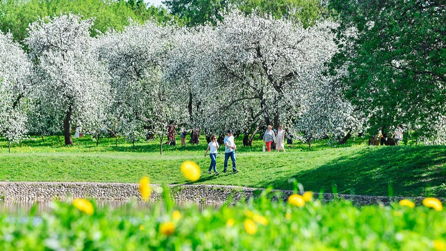 Фото Ю.Иванко