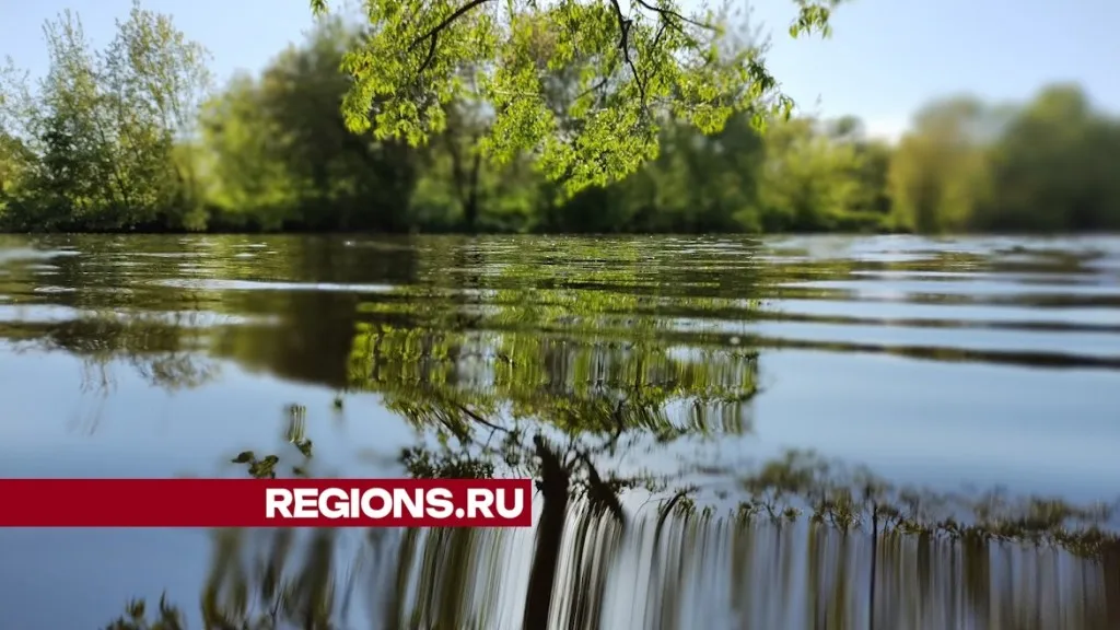 Фото: REGIONS/Алексей Селиверстов