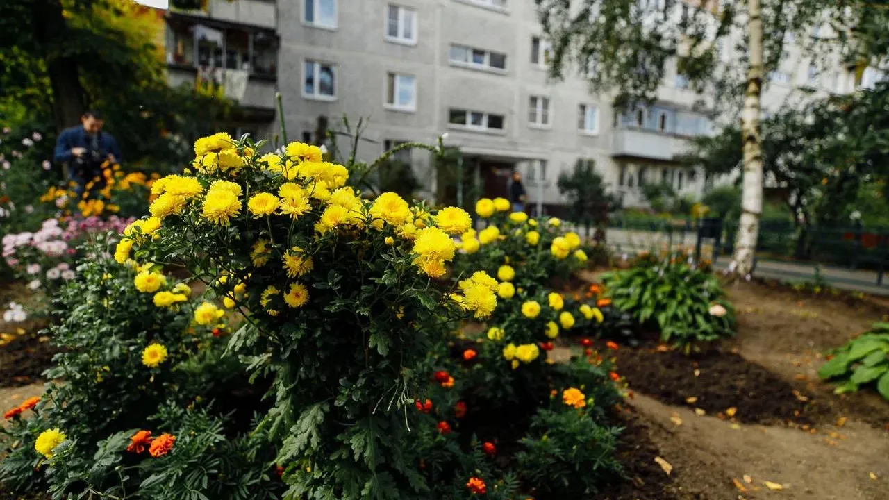 Александр Бурлаков