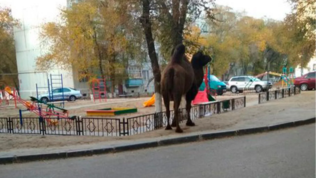 Из личного архива жителей Байконура