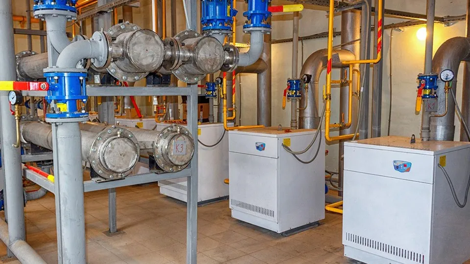 Фото: пресс-служба администрации м.о. Шаховская