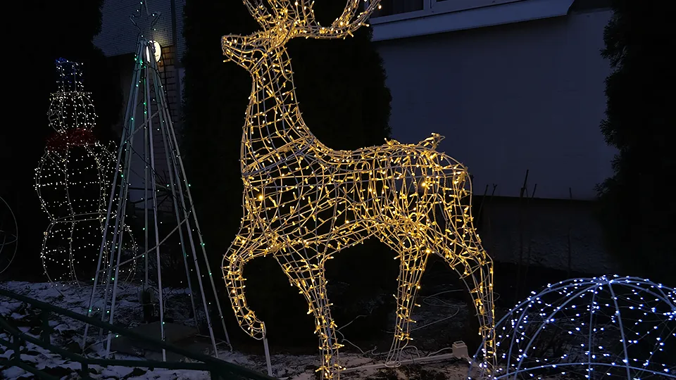 Фото: МедиаБанк Подмосковья/Анастасия Игнатова