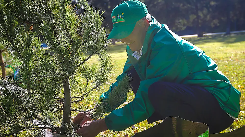Фото: медиасток.рф