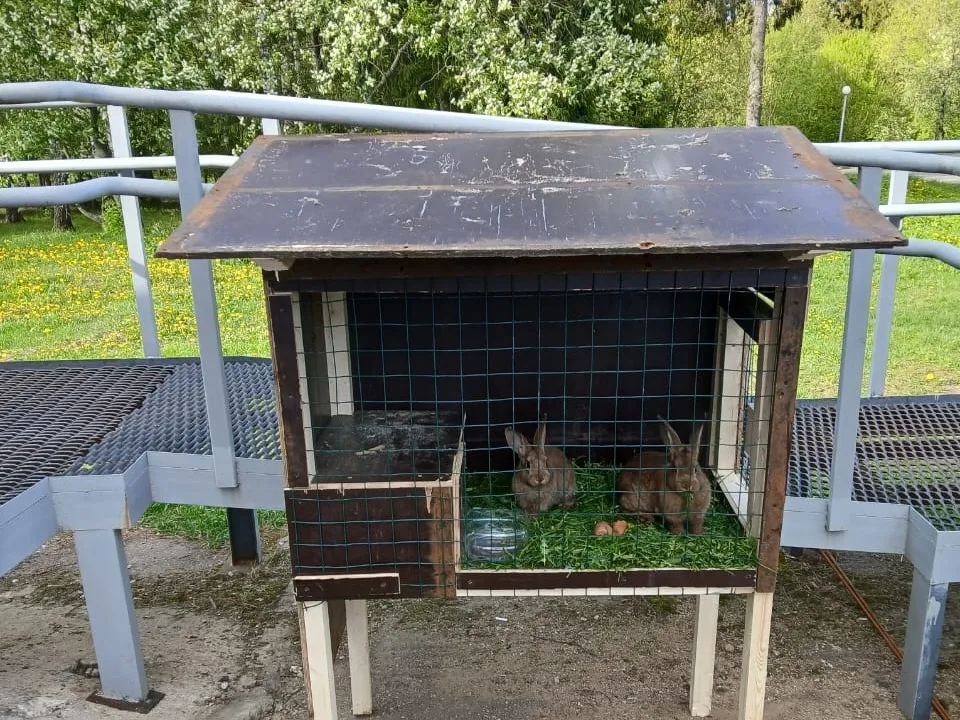 Фото: МБУК  «Городской парк культуры и отдыха»