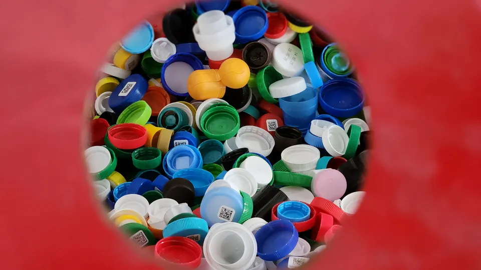 Фото: МедиаБанк Подмосковья/Ксения Пашуто