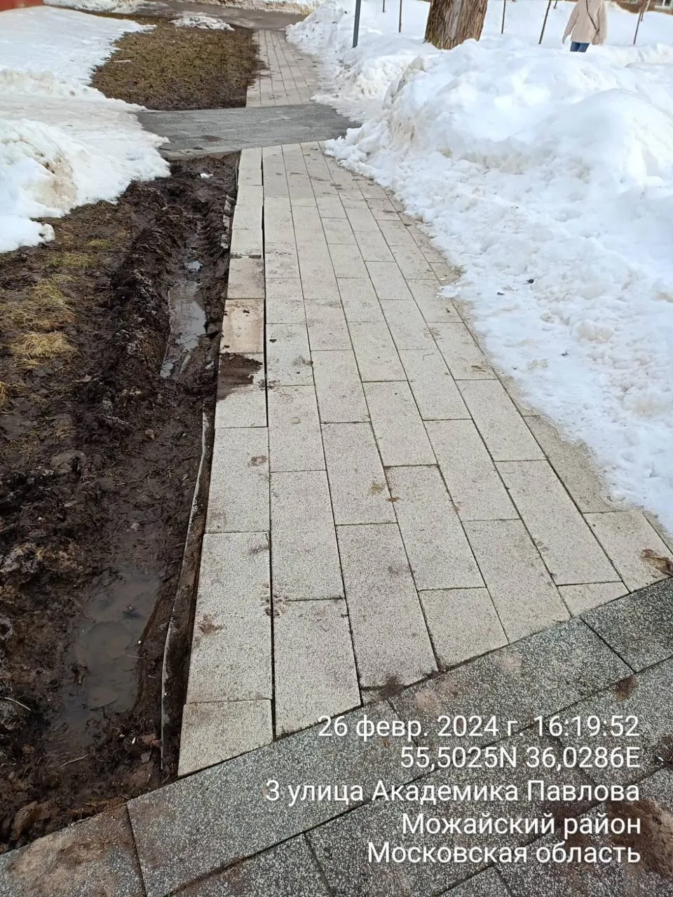 Фото: администрация Можайского городского округа