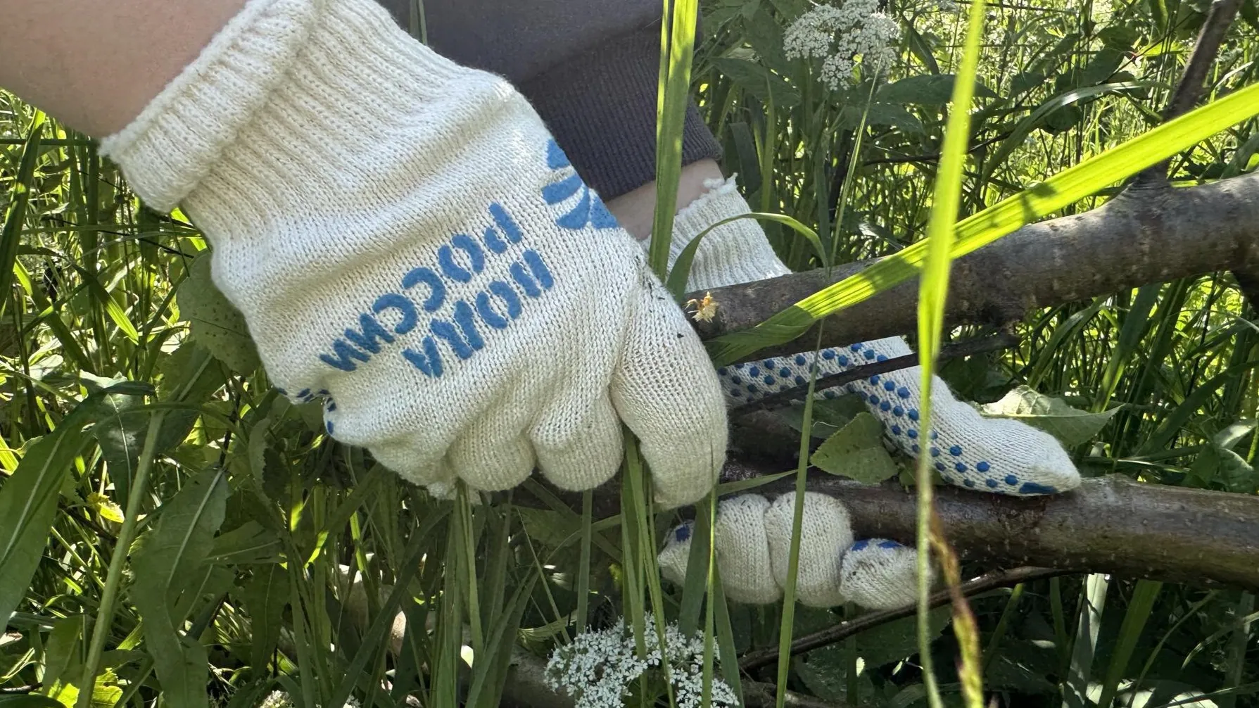 Фото: пресс-служба администрации Можайского городского округа