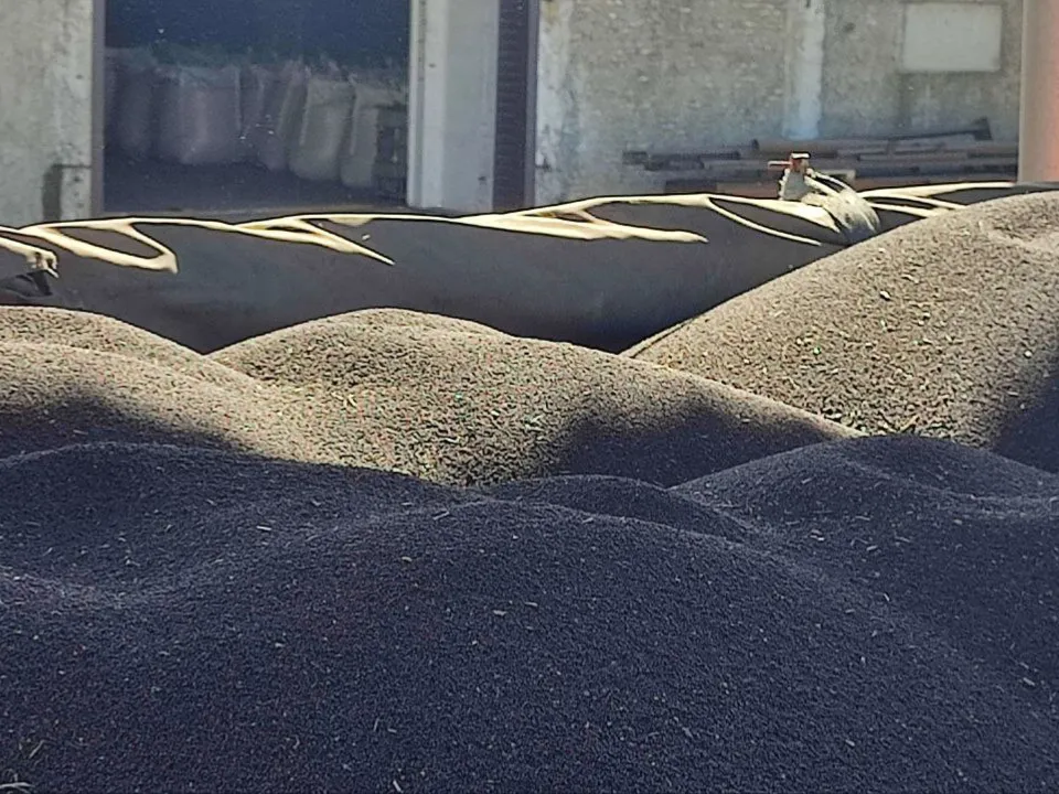 Фото: администрация м.о. Шатура