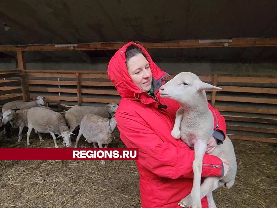 Фото: Дмитрий Алексеенко
