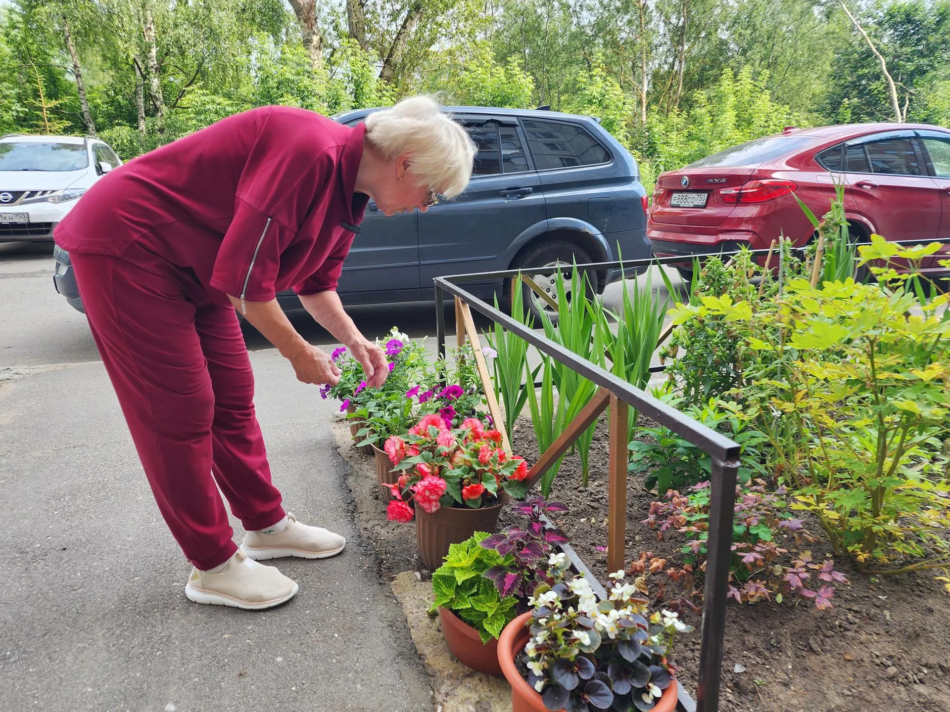 У входа в подъезд выстроились горшочки с разноцветными петуньями и бегониями. Фото: REGIONS/Наталья Дорошева