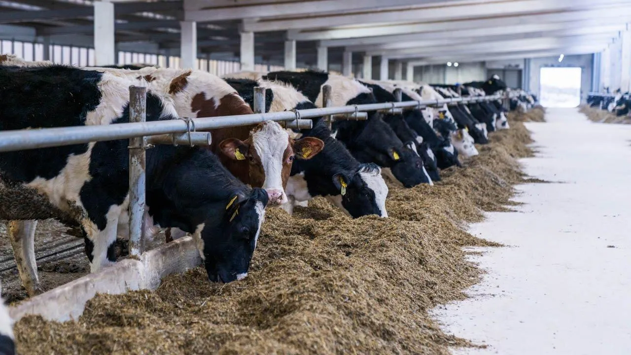 REGIONS/Наталья Надточая