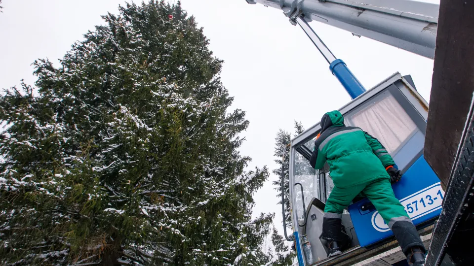 Фото: медисток.рф