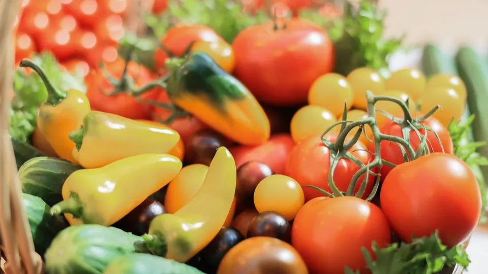 Фото: медиасток.рф