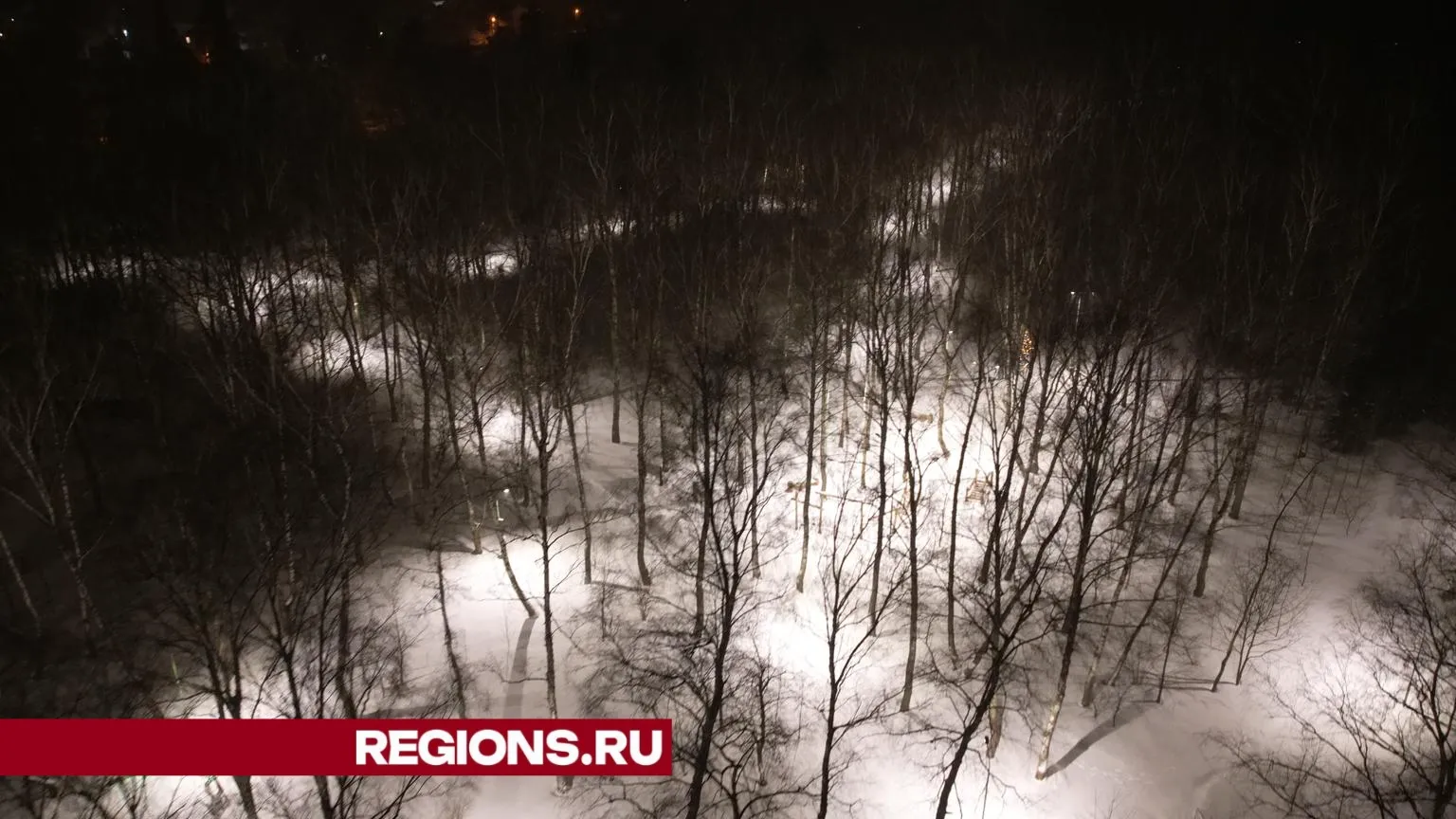Фото, видео: Дарья Московцева