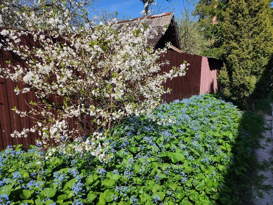 Фото: МедиаБанк Подмосковья/Михаил Мартыненко