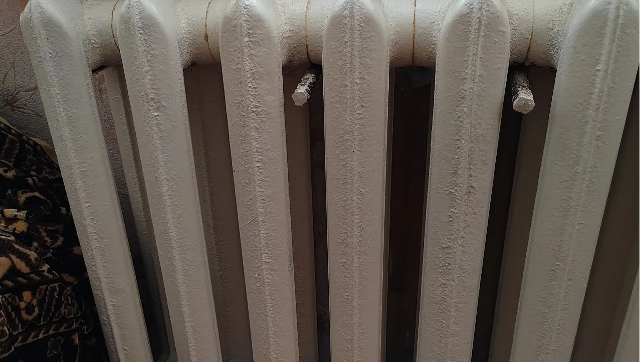 Фото: Евгений Мазепов