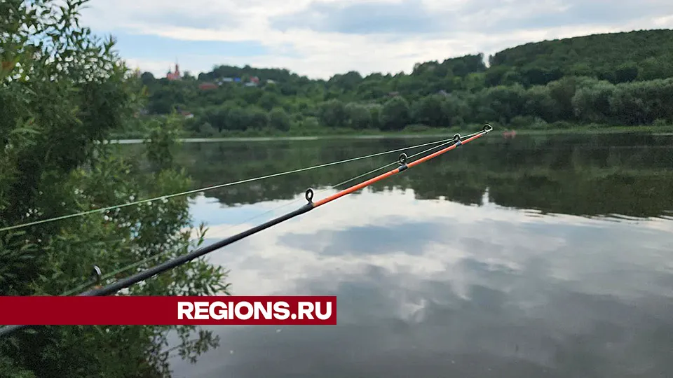 Фото: Андрей Семибратов