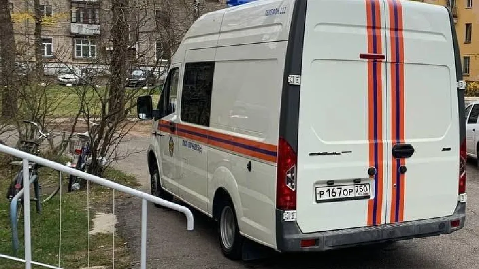 Фото: ГКУ МО «Мособлпожспас»