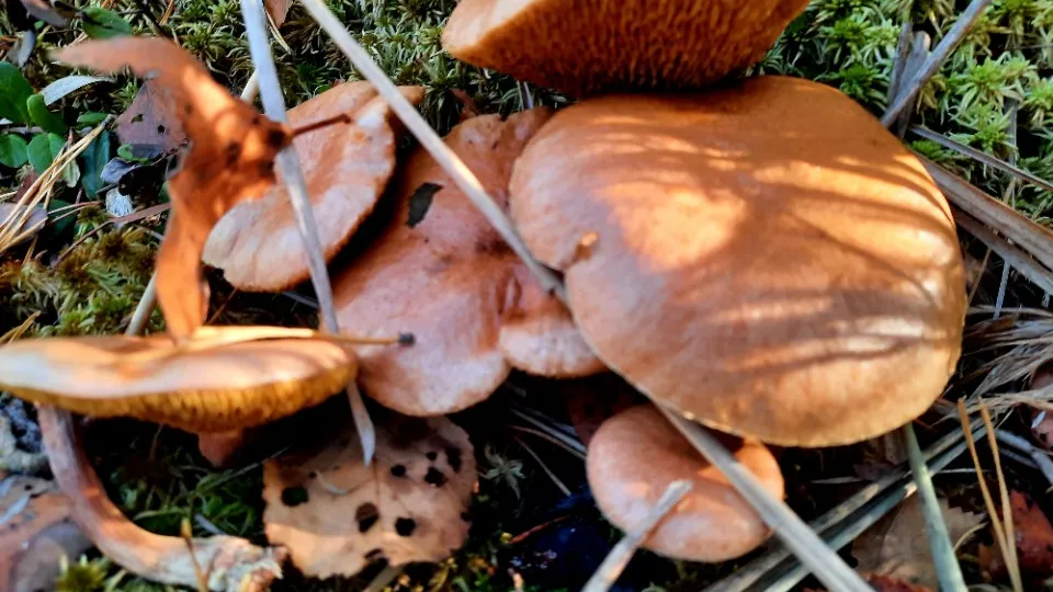 Фото: МедиаБанк Подмосковья/Михаил Мартыненко