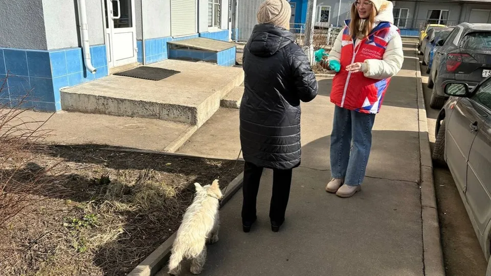 Фото: пресс-служба администрации г.о. Лобня