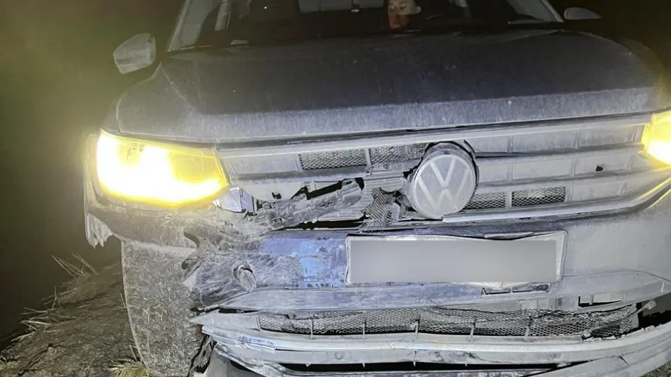 Фото: Комитет лесного хозяйства МО