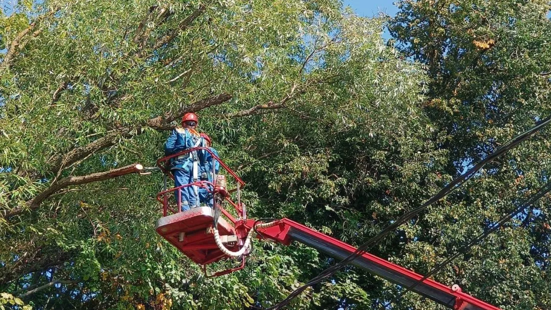 Фото: Минэнерго МО