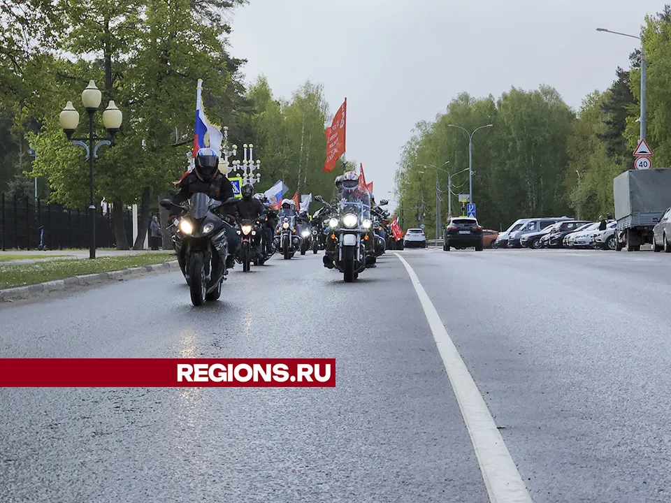 Фото: Андрей Семибратов