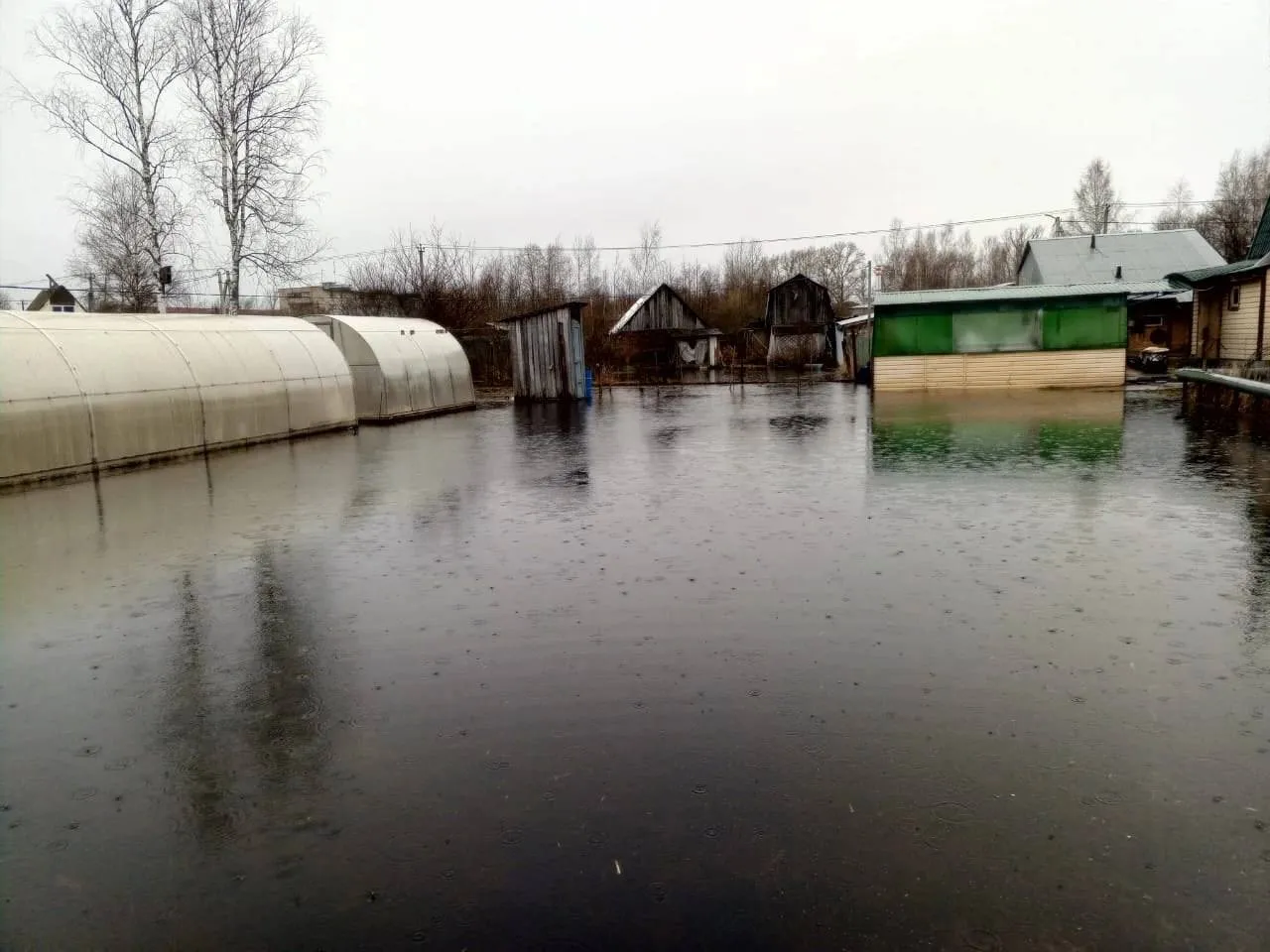 Фото: «Типичная Шатура»&nbsp;https://t.me/vshature