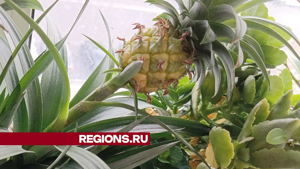 Фото: Ирина Горбачева